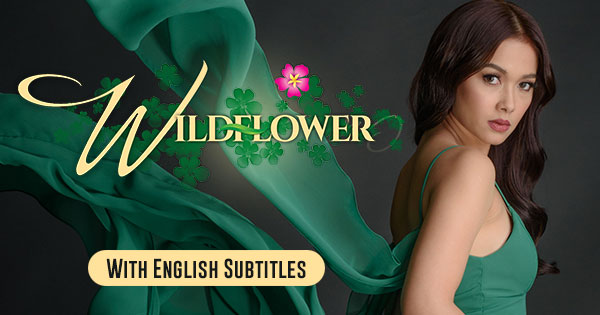 Wildflower With English Subtitles Drama Romance Kapamilya