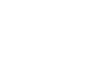 The Girl in the Orange Dress